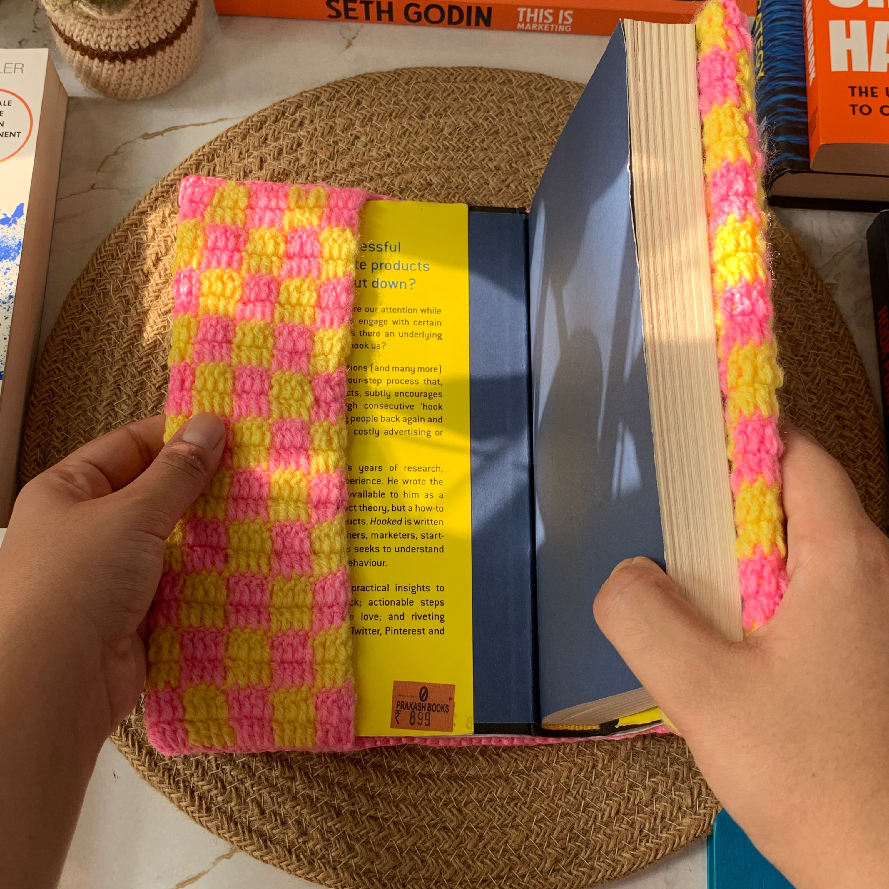 Pink Lemonade Gingham Book Cover